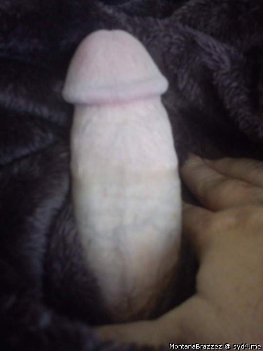 Photo of a pocket rocket from Montanabrazzez