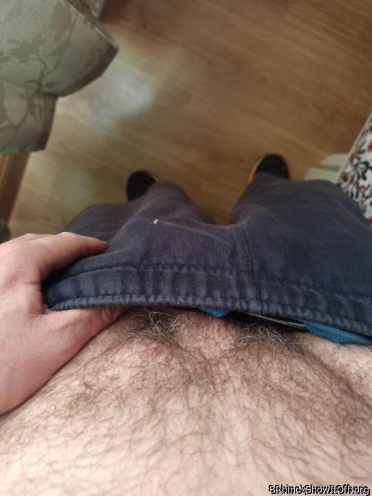 Photo of a dong from BRhino