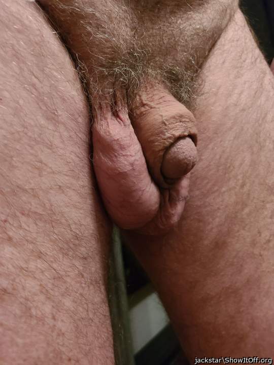 Photo of a stiffie from jackstar