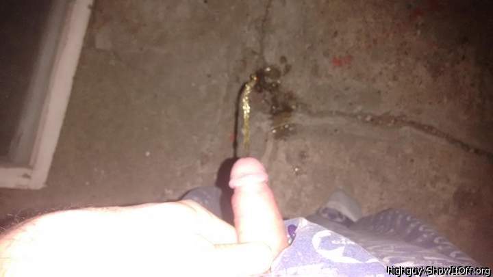 Photo of a hot dog from highguy