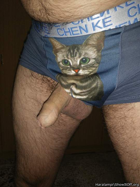 Awwee!! A cute kitty!! Can I play with it's tail? Mmmm