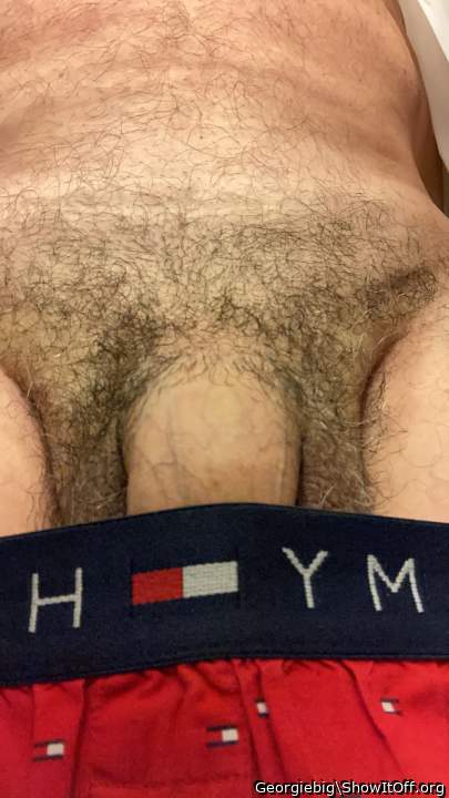 Photo of a horn from Georgiebig
