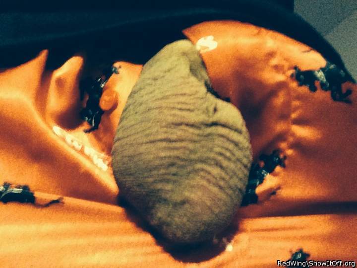 Testicles Photo from RedWing