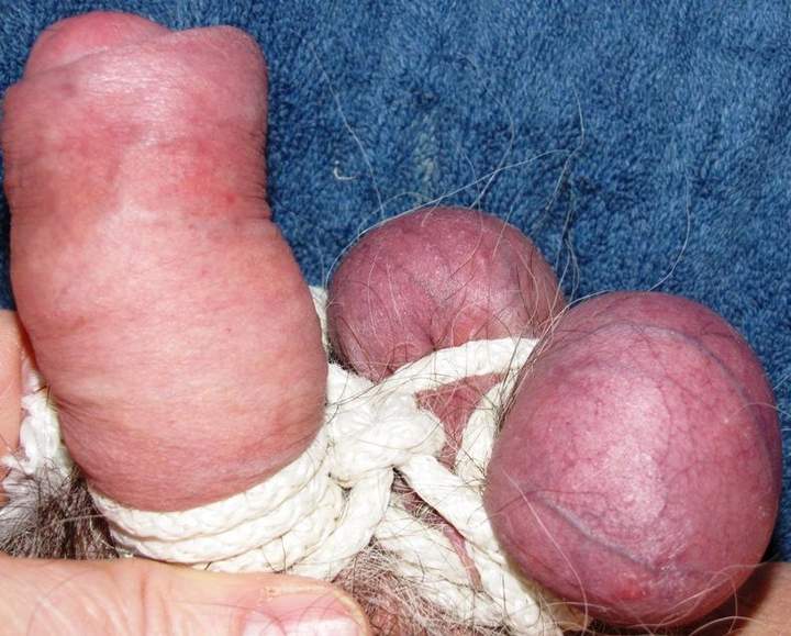 Tied Balls and Cock