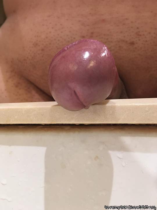 Photo of a rooster from ilovemydick
