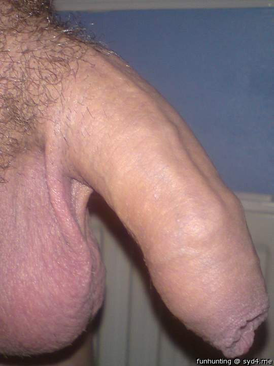 Photo of a weasel from funhunting