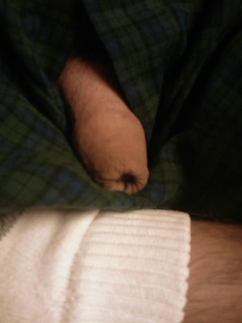 Photo of a horn from yardog319