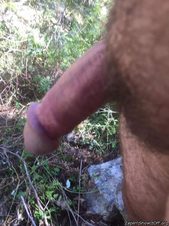 Photo of a penile from Zeplin