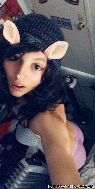 Photo of a bat from hornyboy69