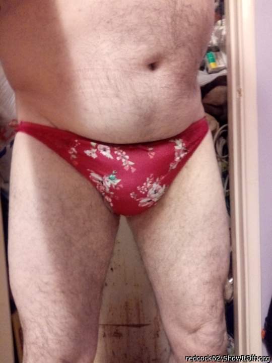 Photo of a weasel from redcock62