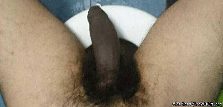 Photo of a drain pipe from nicedices
