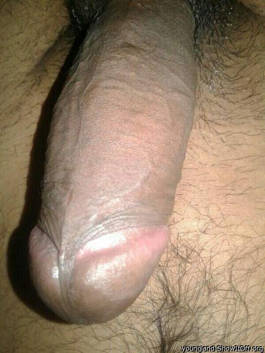Photo of a meat stick from youngland