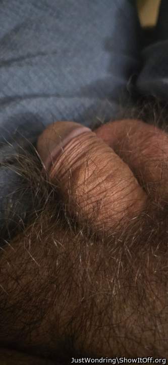 Photo of a cock from JustWondring