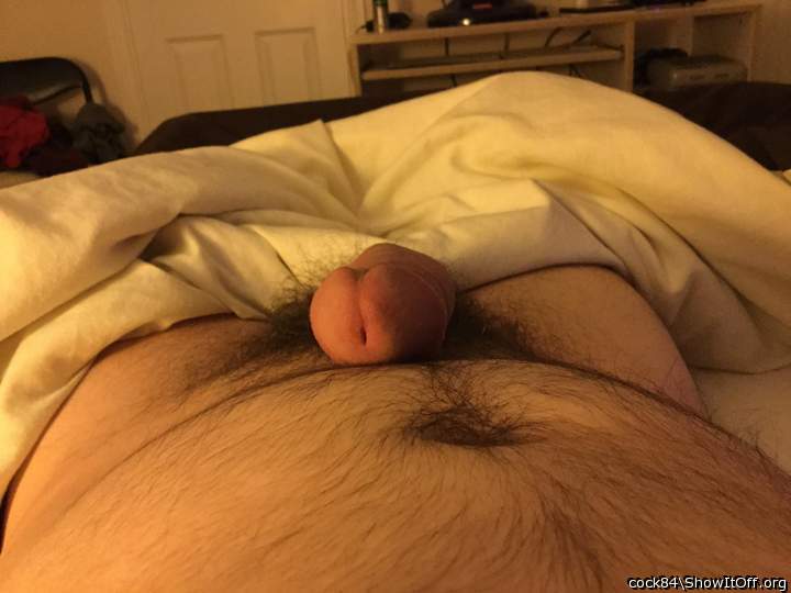 Photo of a penis from Cock84