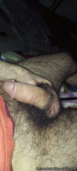 Photo of a tool from Mymeat11