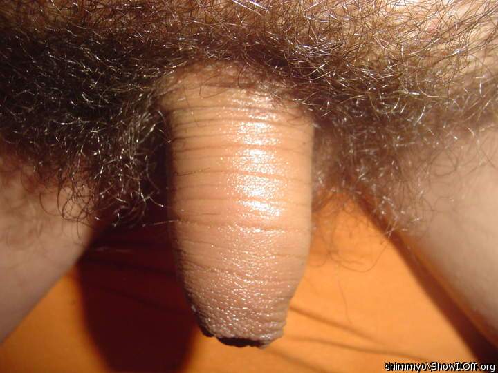 Photo of a dick from shimmyo