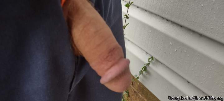Photo of a pecker from Dougskrilla