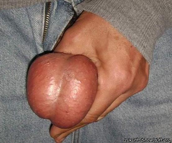 Photo of a middle leg from zukunft