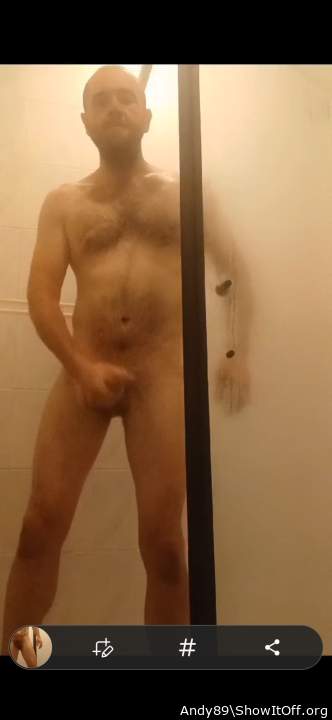 Photo of a bat from Andy89