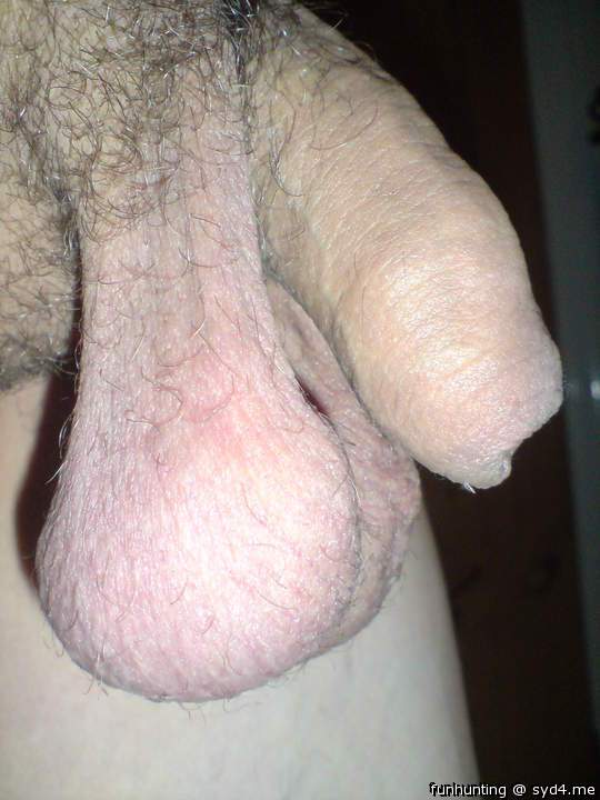 Testicles Photo from funhunting
