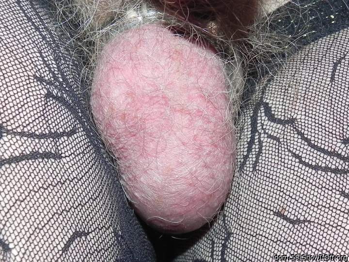 Photo of a penis from dom-58