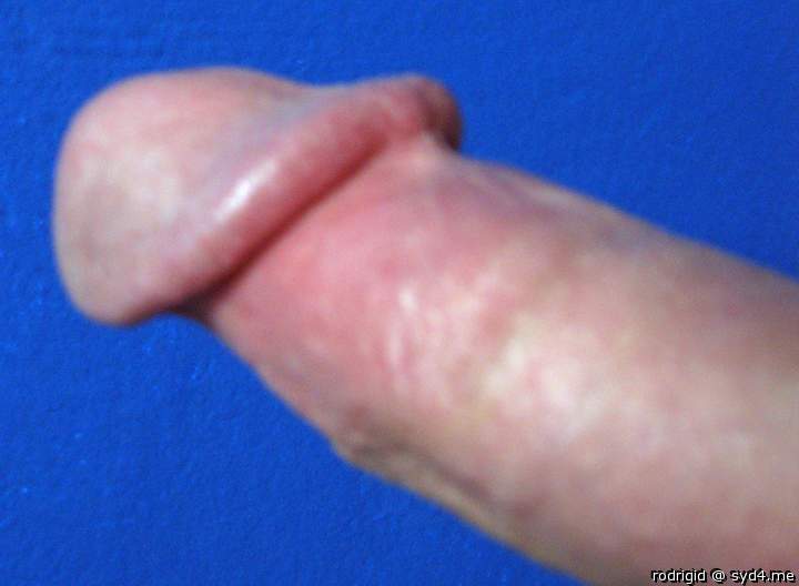Photo of a dick from rodrigid