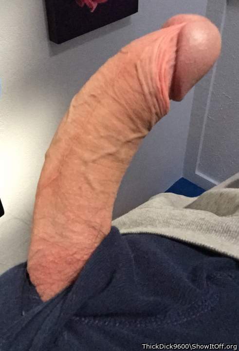 Could you deepthroat it down to the base?