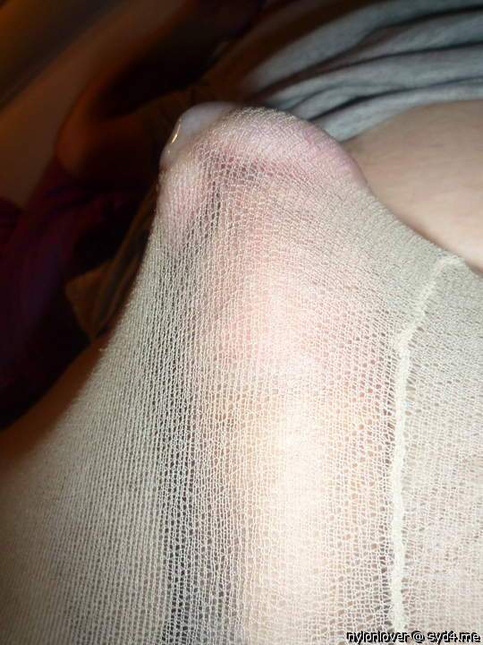 Adult image from nylonlover