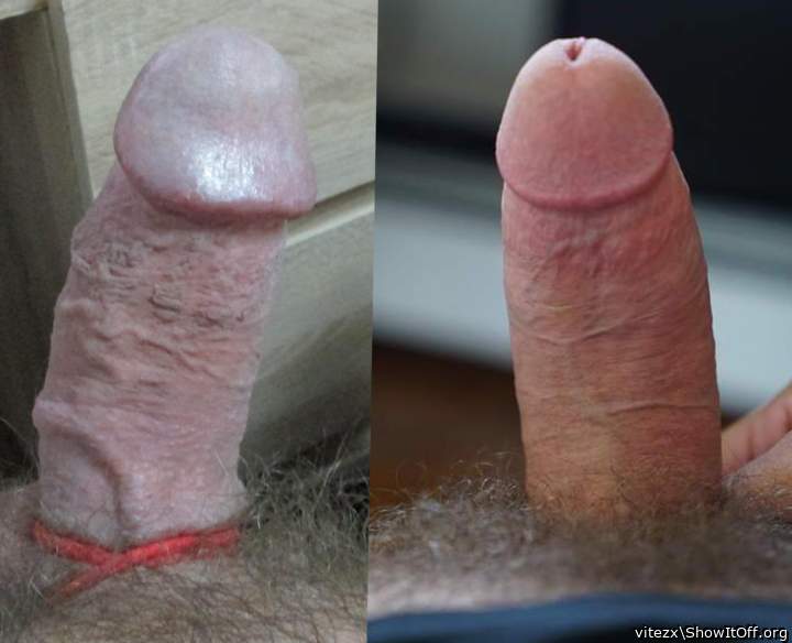 Who has better cock? left (Vitezx) or right (jerseyhav)?