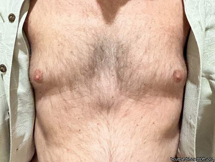 Adult image from Scuttle