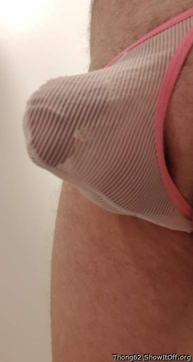 Photo of a python from Thong62