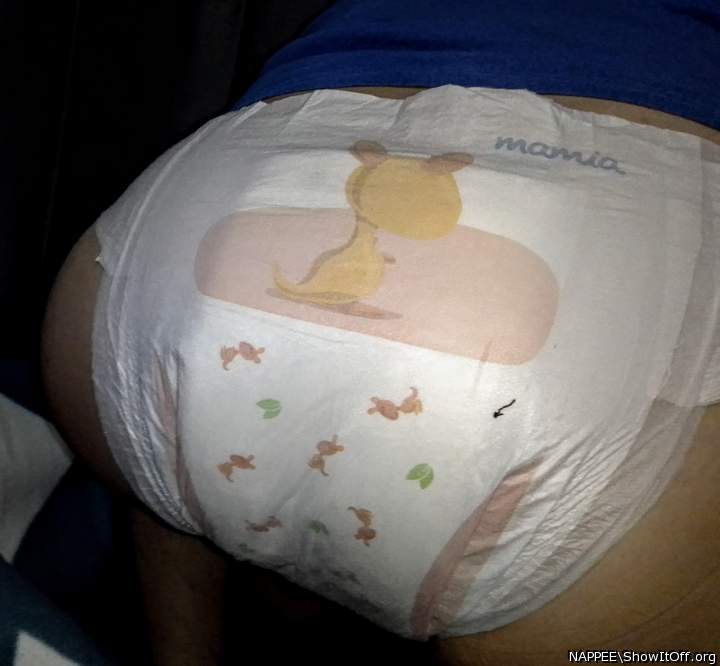 My Aldi Nappy...