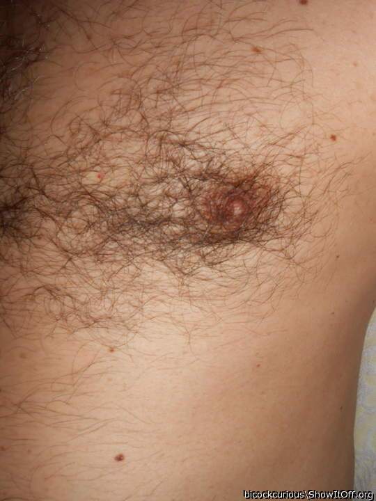 Hairy nipple