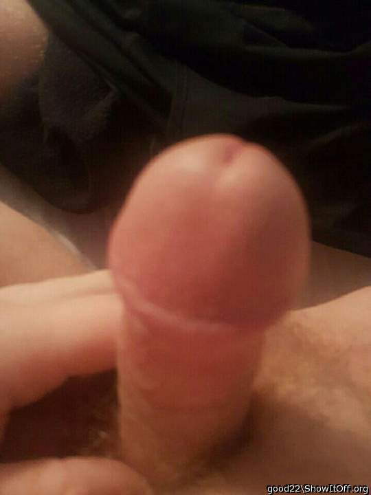Photo of a snake from good22