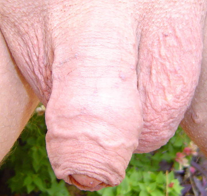 Photo of a power tool from cuddles1
