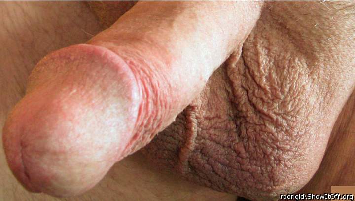 Photo of a penile from rodrigid