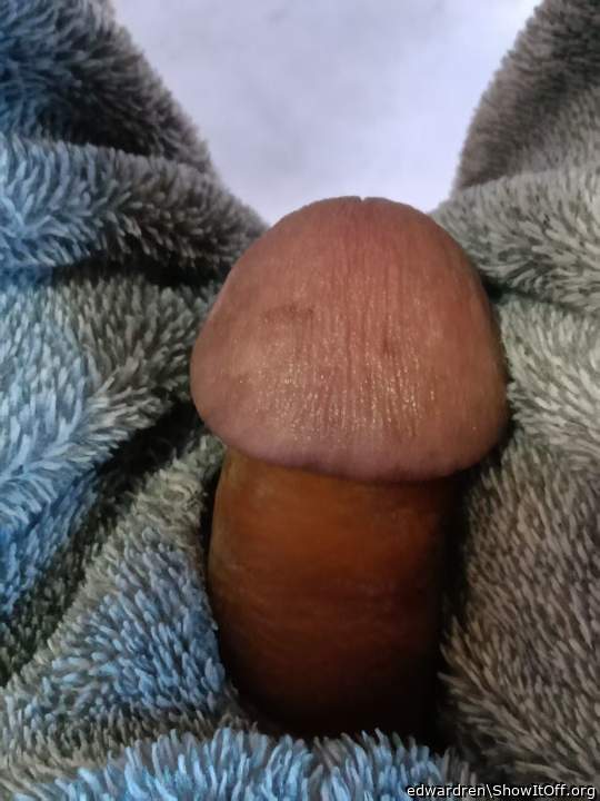 Photo of a pecker from edwardren