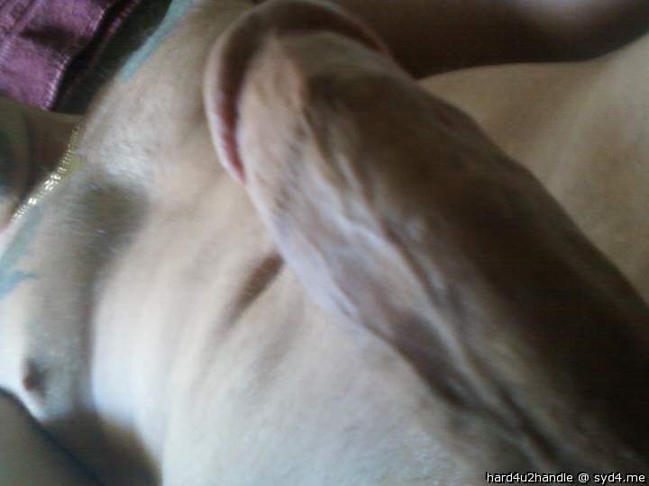 Photo of a cock from hard4u2handle