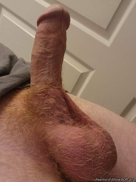 Semi hard cock