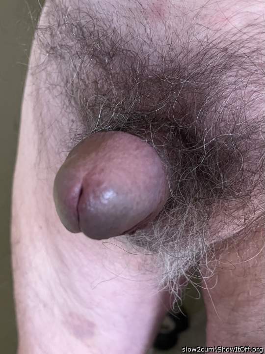 Photo of a weasel from slow2cum