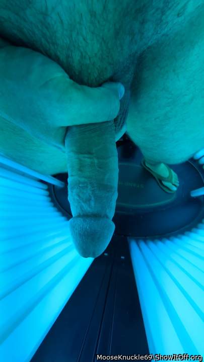 Photo of a hot dog from MooseKnuckle69