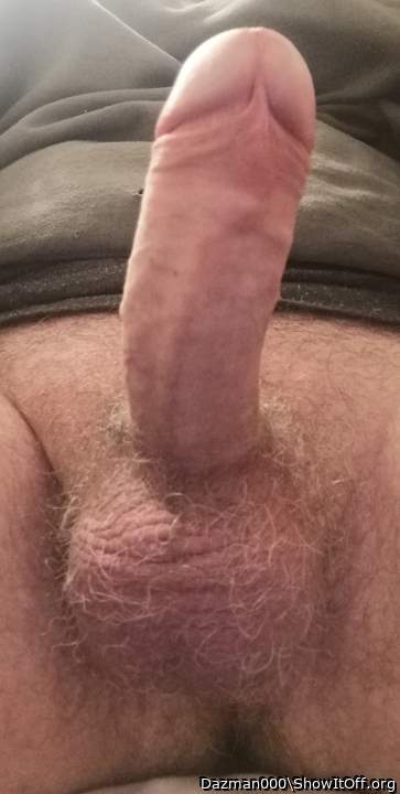Photo of a lizard from Dazman000