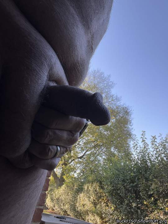 Photo of a power tool from BuckF150