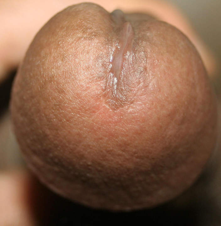 Photo of a python from Anass