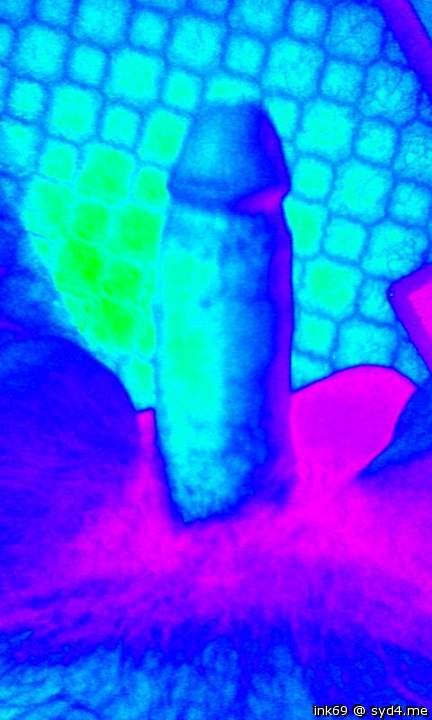 hot cock