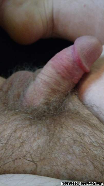 Photo of a bat from Mythic585