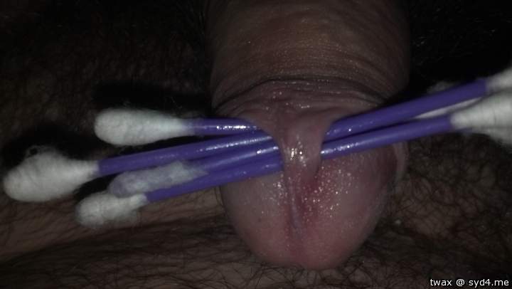Photo of a bald-headed mouse from twax