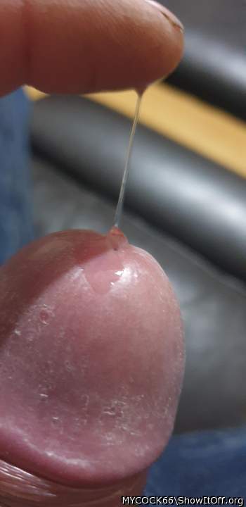 Photo of a thing from MYCOCK66