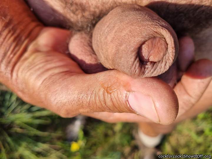 Nice looking foreskin 