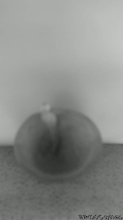 Photo of a weasel from TNT-48-8